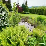 Lawendowa Przystan - Dom Nad Rzeka - Brenna, 10 Osob, Sauna, Balia Z Jacuzzi, Ogrod, Plac Zabaw *