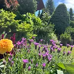 Nyaraló Lawendowa Przystan - Dom Nad Rzeka - Brenna, 10 Osob, Sauna, Balia Z Jacuzzi, Ogrod, Plac Zabaw *