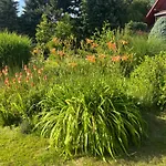 Nyaraló Lawendowa Przystan - Dom Nad Rzeka - Brenna, 10 Osob, Sauna, Balia Z Jacuzzi, Ogrod, Plac Zabaw Brenna
