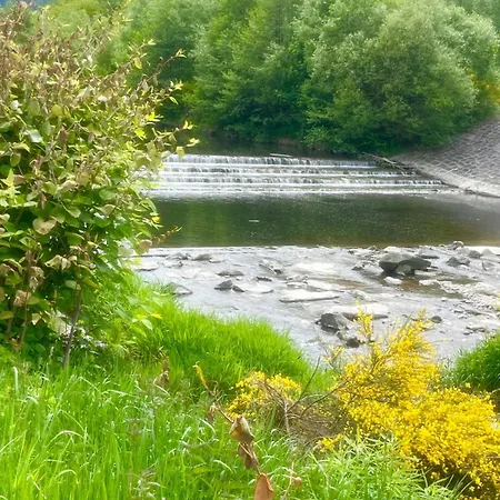Lawendowa Przystań - Dom Nad Rzeką - Brenna, 10 Osób, Ogród, Plac Zabaw Dom wakacyjny