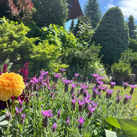 Dom wakacyjny Lawendowa Przystań - Dom Nad Rzeką - Brenna, 10 Osób, Ogród, Plac Zabaw *