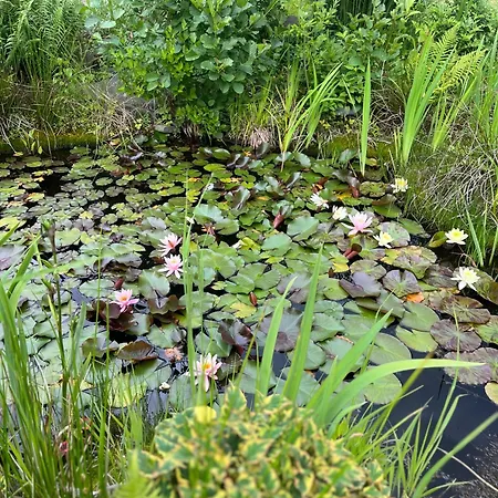 Lawendowa Przystan - Dom Nad Rzeka - Brenna, 10 Osob, Sauna, Balia Z Jacuzzi, Ogrod, Plac Zabaw