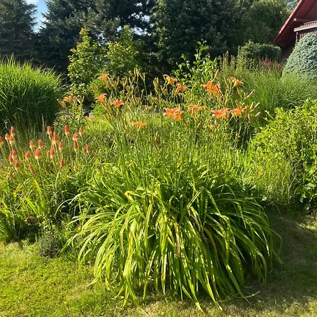 Vakantiehuis Lawendowa Przystan - Dom Nad Rzeka - Brenna, 10 Osob, Sauna, Balia Z Jacuzzi, Ogrod, Plac Zabaw Brenna