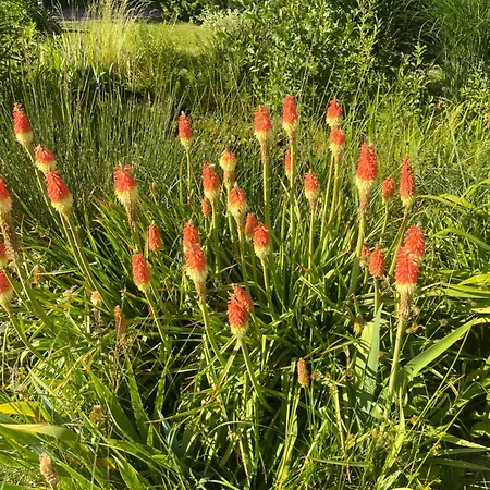 Lawendowa Przystan - Dom Nad Rzeka - Brenna, 10 Osob, Sauna, Balia Z Jacuzzi, Ogrod, Plac Zabaw * 브렌나