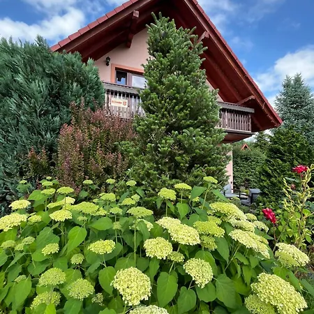 Holiday home Lawendowa Przystan - Dom Nad Rzeka - Brenna, 10 Osob, Sauna, Balia Z Jacuzzi, Ogrod, Plac Zabaw *