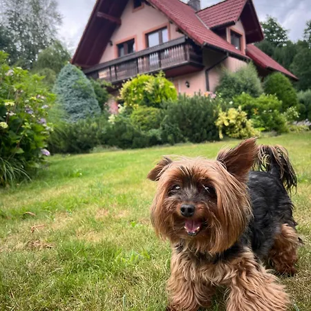 Lawendowa Przystan - Dom Nad Rzeka - Brenna, 10 Osob, Sauna, Balia Z Jacuzzi, Ogrod Ferienhaus *