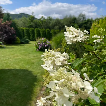 Lawendowa Przystan - Dom Nad Rzeka - Brenna, 10 Osob, Sauna, Balia Z Jacuzzi, Ogrod, Plac Zabaw Vakantiehuis *