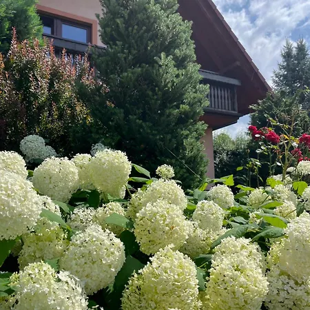Lawendowa Przystań - Dom Nad Rzeką - Brenna, 10 Osób, Ogród, Plac Zabaw Brenna