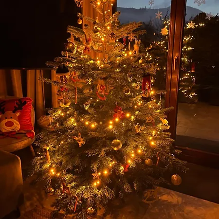 Lawendowa Przystan - Dom Nad Rzeka - Brenna, 10 Osob, Sauna, Balia Z Jacuzzi, Ogrod, Plac Zabaw Vakantiehuis *