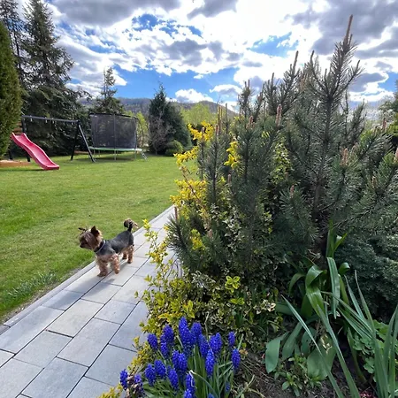 Lawendowa Przystan - Dom Nad Rzeka - Brenna, 10 Osob, Sauna, Balia Z Jacuzzi, Ogrod, Plac Zabaw * Бренна