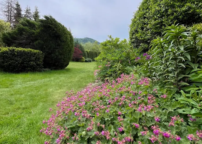 Lawendowa Przystan - Dom Nad Rzeka - Brenna, 10 Osob, Sauna, Balia Z Jacuzzi, Ogrod, Plac Zabaw * ברנה