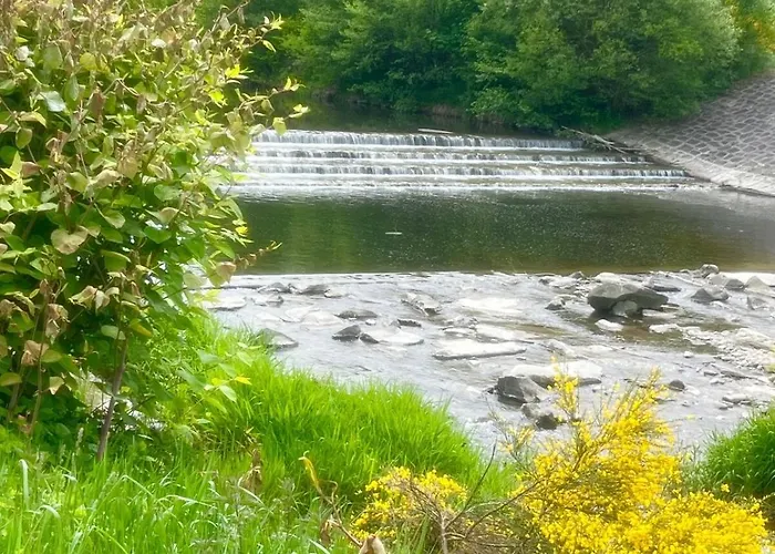 Lawendowa Przystan - Dom Nad Rzeka - Brenna, 10 Osob, Sauna, Balia Z Jacuzzi, Ogrod, Plac Zabaw Holiday home