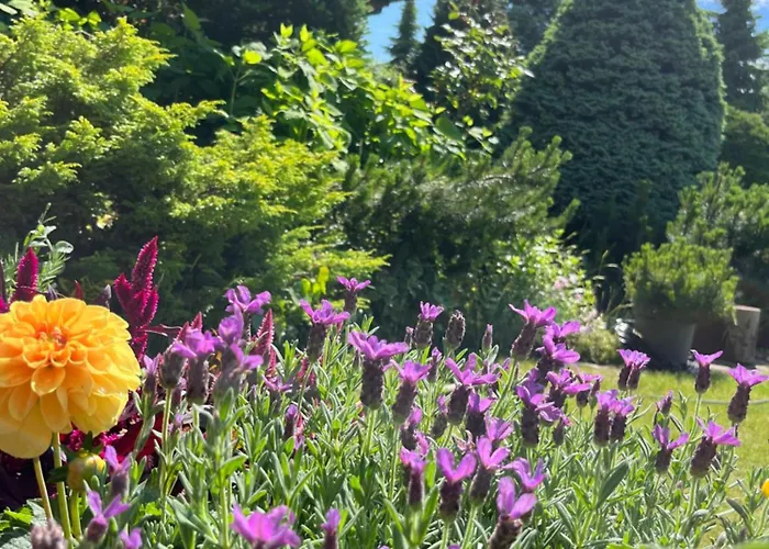 別荘 Lawendowa Przystan - Dom Nad Rzeka - Brenna, 10 Osob, Sauna, Balia Z Jacuzzi, Ogrod, Plac Zabaw *