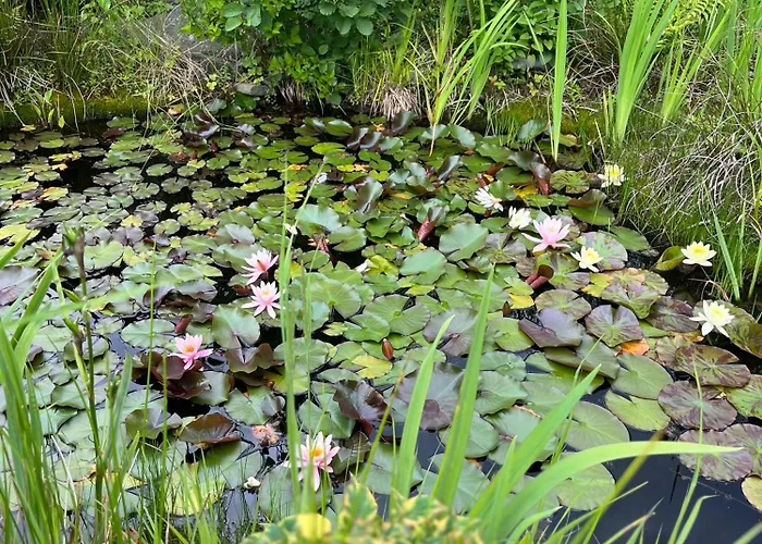 Lawendowa Przystan - Dom Nad Rzeka - Brenna, 10 Osob, Sauna, Balia Z Jacuzzi, Ogrod, Plac Zabaw