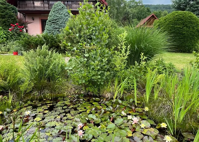 Lawendowa Przystan - Dom Nad Rzeka - Brenna, 10 Osob, Sauna, Balia Z Jacuzzi, Ogrod, Plac Zabaw * Brenna