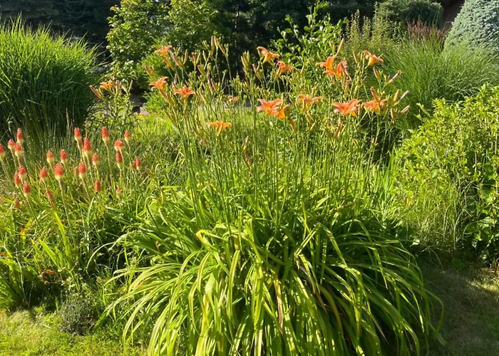 別荘 Lawendowa Przystan - Dom Nad Rzeka - Brenna, 10 Osob, Sauna, Balia Z Jacuzzi, Ogrod, Plac Zabaw ブレンナ