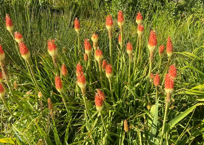 Lawendowa Przystan - Dom Nad Rzeka - Brenna, 10 Osob, Sauna, Balia Z Jacuzzi, Ogrod, Plac Zabaw * ブレンナ