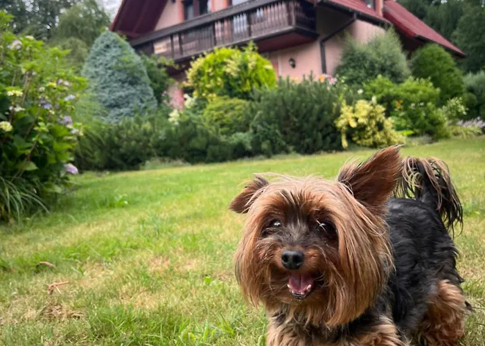 Lawendowa Przystan - Dom Nad Rzeka - Brenna, 10 Osob, Sauna, Balia Z Jacuzzi, Ogrod, Plac Zabaw Holiday home *