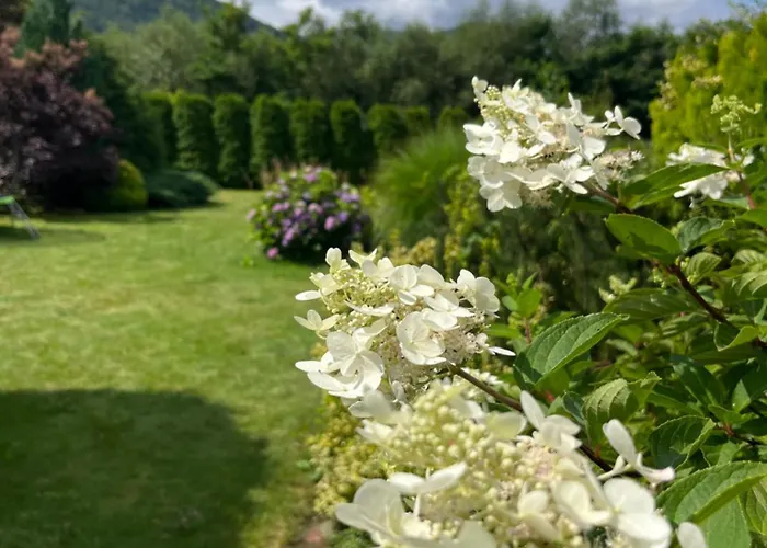 Lawendowa Przystan - Dom Nad Rzeka - Brenna, 10 Osob, Sauna, Balia Z Jacuzzi, Ogrod, Plac Zabaw Holiday home *