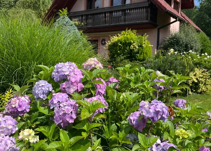 Holiday home Lawendowa Przystan - Dom Nad Rzeka - Brenna, 10 Osob, Sauna, Balia Z Jacuzzi, Ogrod, Plac Zabaw *