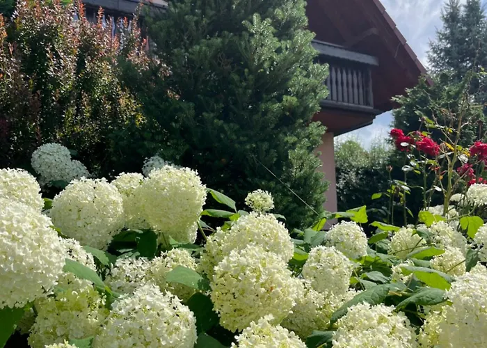 Lawendowa Przystan - Dom Nad Rzeka - Brenna, 10 Osob, Sauna, Balia Z Jacuzzi, Ogrod, Plac Zabaw Brenna