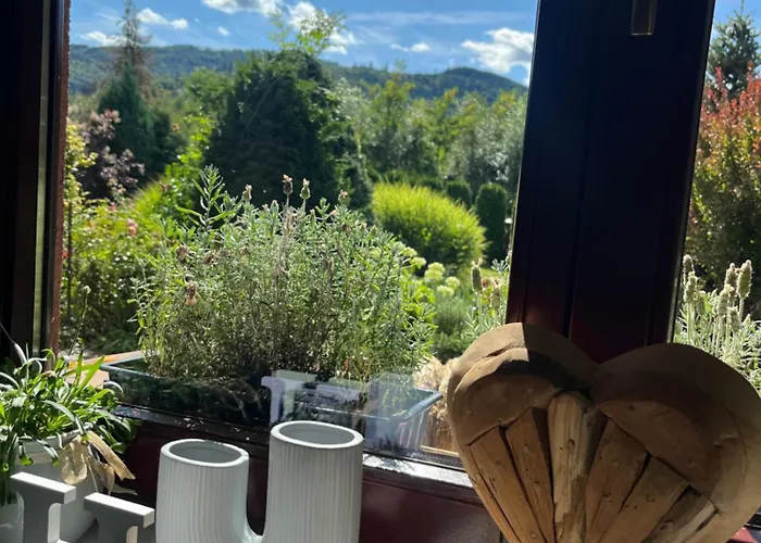 Lawendowa Przystan - Dom Nad Rzeka - Brenna, 10 Osob, Sauna, Balia Z Jacuzzi, Ogrod, Plac Zabaw Holiday home Brenna