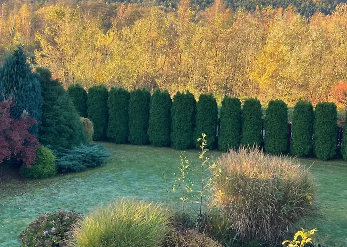 Lawendowa Przystan - Dom Nad Rzeka - Brenna, 10 Osob, Sauna, Balia Z Jacuzzi, Ogrod, Plac Zabaw 別荘 *