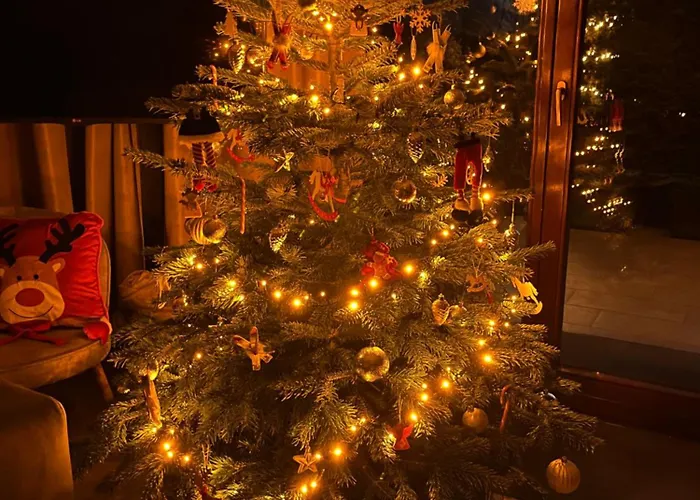 Lawendowa Przystan - Dom Nad Rzeka - Brenna, 10 Osob, Sauna, Balia Z Jacuzzi, Ogrod, Plac Zabaw Holiday home *